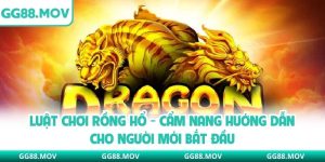 Luật Chơi Rồng Hổ - Cẩm Nang Hướng Dẫn Cho Người Mới Bắt Đầu